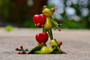 Verkaufsemotion Liebe